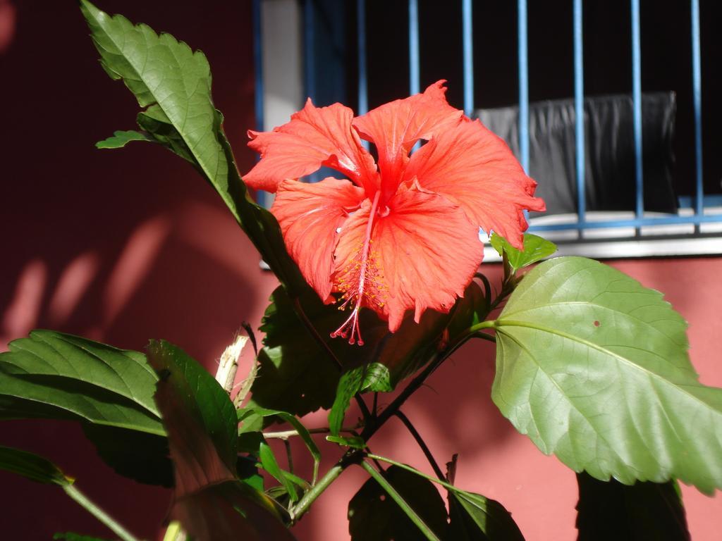 Trancoso, Bahia - Casa Por Temporada Com Estacionamento别墅 外观 照片